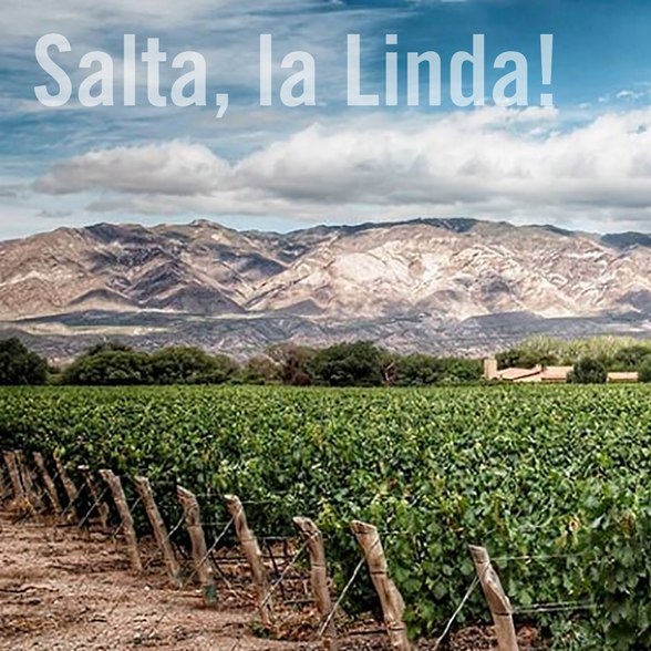 "Salta - highest wine region in the world"